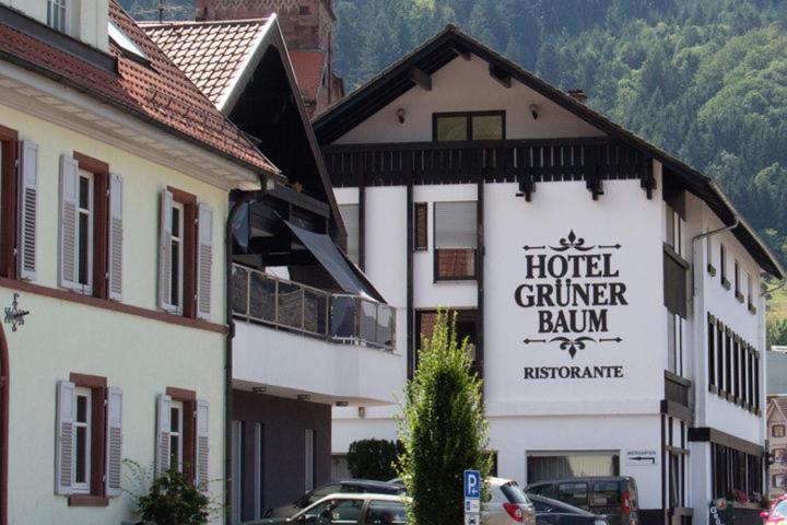 Hotel Gruener Baum - Hotel Im Murgtal, Schwarzwald Weisenbach Kültér fotó